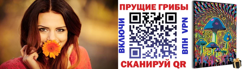 Галлюциногенные грибы прущие грибы блэк спрут ссылка Курган продажа наркотиков